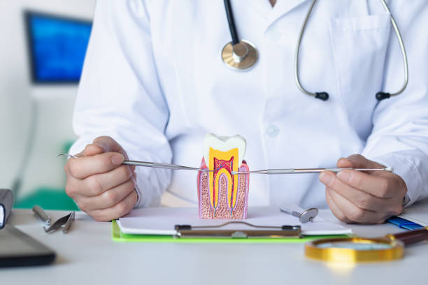 Best Weekend Emergency Dentist in Justice, IL